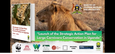 The Launch of Strategic action plan for restoration of big carnivores 2024-2034