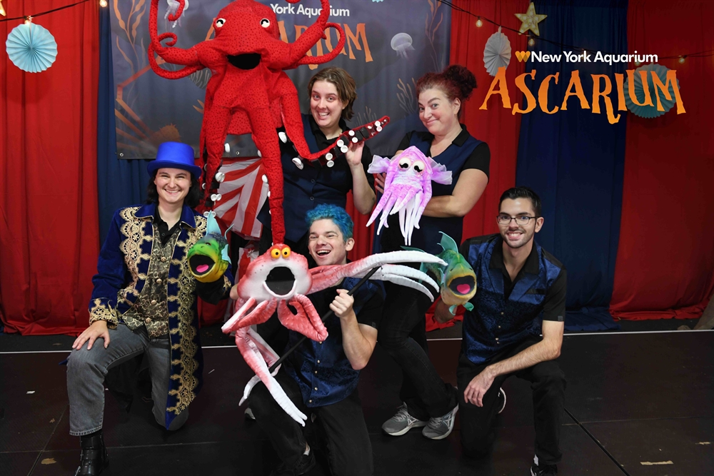 Ascarium 5