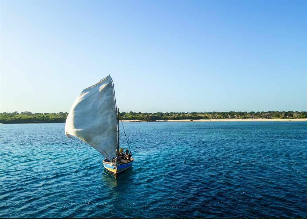 WCS Says Strong Commitments at 11th Our Ocean Conference Must Now Be Turned Into Action