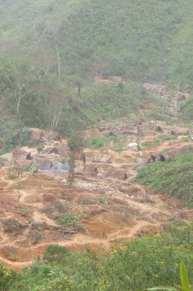 Illegal Mining