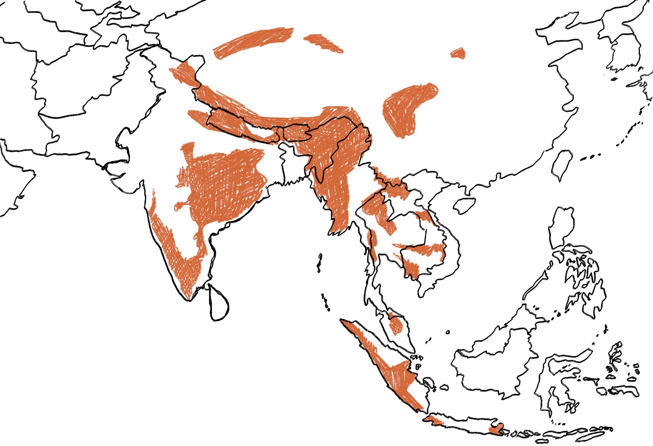 Dhole Map DISAPPEARING GHOSTS: The 'Dhole' Story- Part 1: How did we get here ...