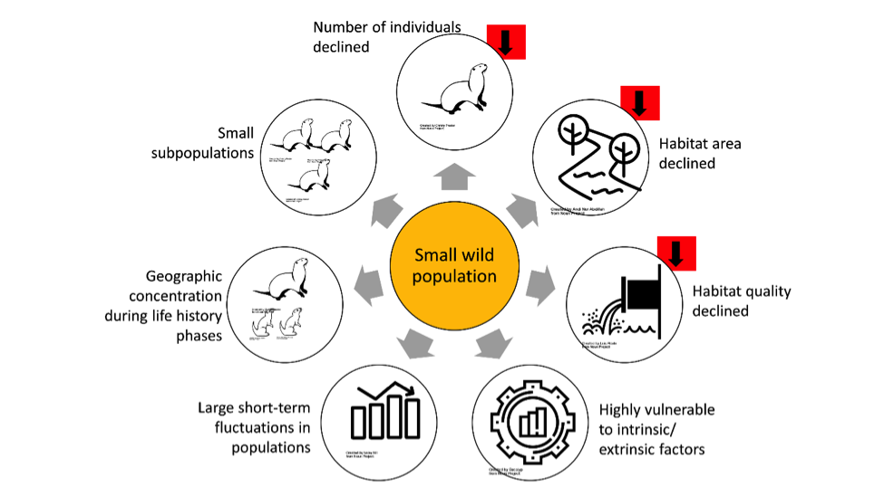 Cites Function Demystifying CITES Appendices > Wildlife Conservation Society - India