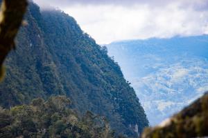 Chimbu Province, Papua New Guinea | Forest and limestone karst at Mauberema | Alex Fanaso/WCS | IMG_2516