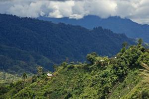 Jiwaka Province, Papua New Guinea | Mountanous region of Kwiop, part of Bismark Range | Elodie Van Lierde | © Elodie_Van_Lierde IMG_1084
