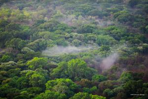  | Conservation programs in the CAR Northeast Protected Areas Complex support the maintenance of rivers’ ecological flow that benefits surrounding communities of Central African Republic and Chad. | Photo © Antonio Bóveda/WCS. | ©PH07_Manovo landscape