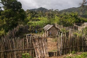 Mamabay, Madagascar | community | FAO/Rijasolo | IMG_6574