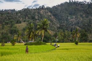 Mamabay, Madagascar | landscape+community | FAO/Rijasolo | IMG_8997