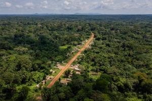 DRC | landscape | FAO/T. NICOLON | 20201206 WCS FAO NICOLON-3