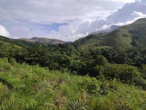 India | Kudremukh National Park landscape | Vinayaka SG | Kudremukh NP landscape 2