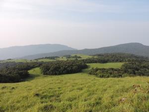India | Sharavathi Valley Wildlife Sanctuary landscape | Vinayaka SG | Sharavathi-Mookambika Landscape
