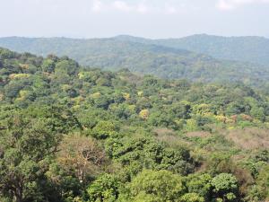 India | Sharavathi Valley Wildlife Sanctuary landscape | Vinayaka SG | Tropical rainforests of Sharavathi valley landscape