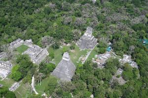 Guatemala/Selva Maya | Tikal National Park | Victor Ramos/WCS | DSC_4334