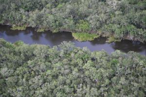 Guatemala/Selva Maya | Holmul river in Yaxha Nakum Naranjo National Park | Victor Ramos/WCS | DSC_3625