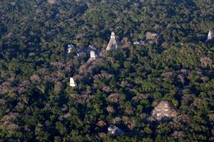 Guatemala, MBR, Tikal | Tikal archaeological site, Tikal | Victor Hugo Ramos/WCS/Guatemala | SMAYA_20210427_VHR_3.JPG