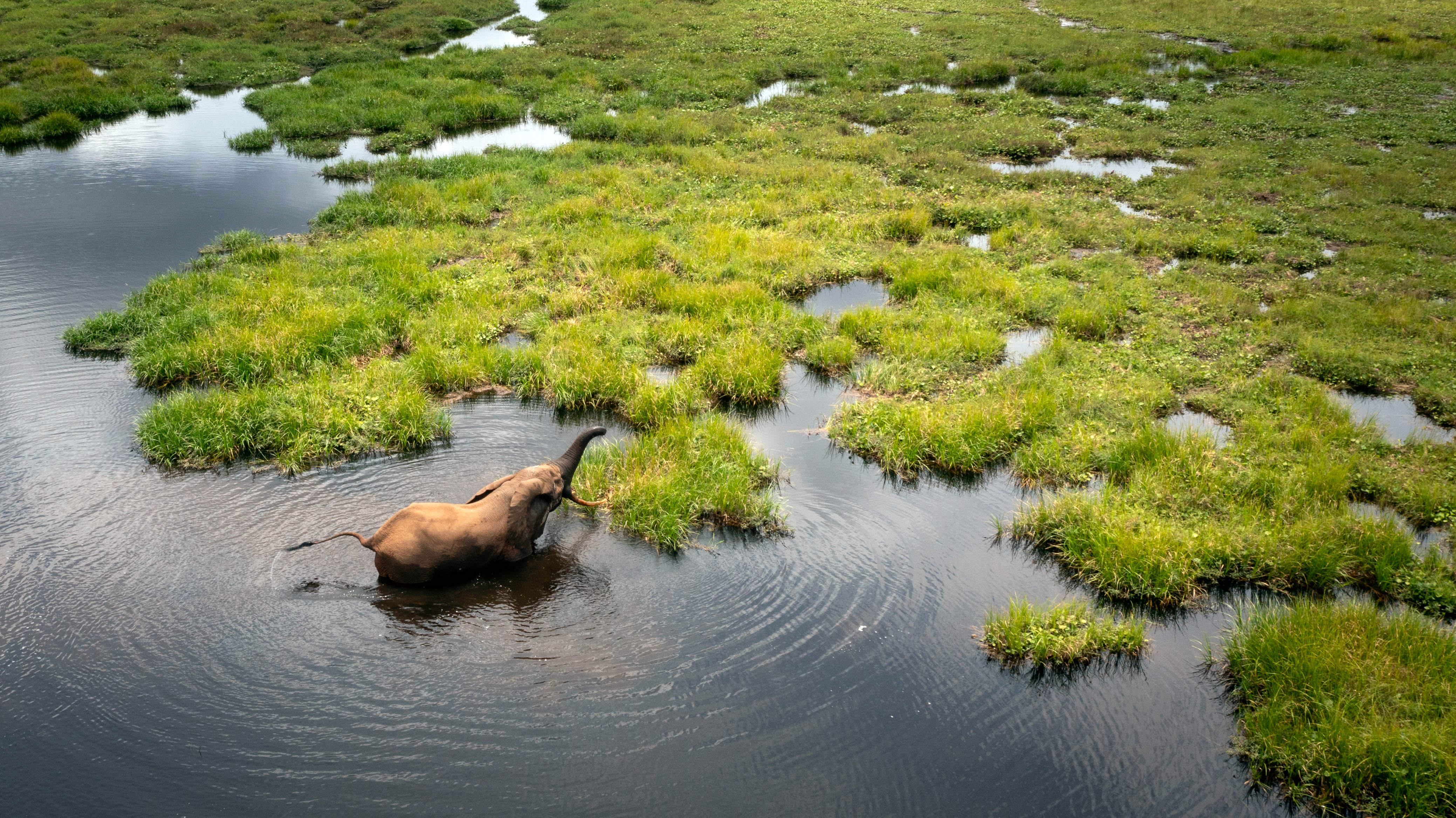 Nouabalé-Ndoki National Park