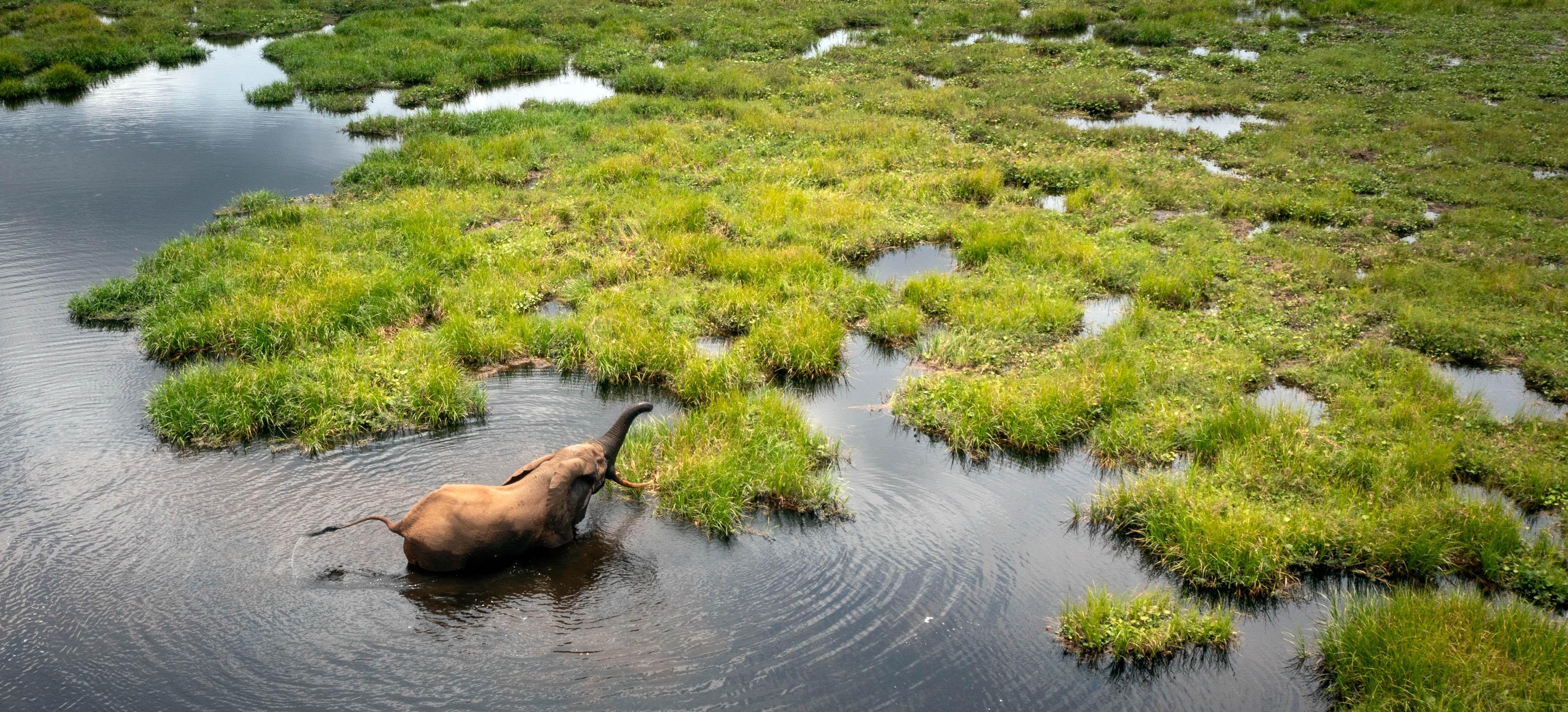Nouabalé-Ndoki National Park