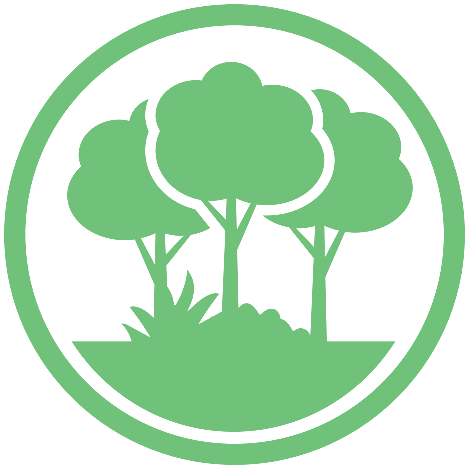Rainforest