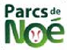 Noe