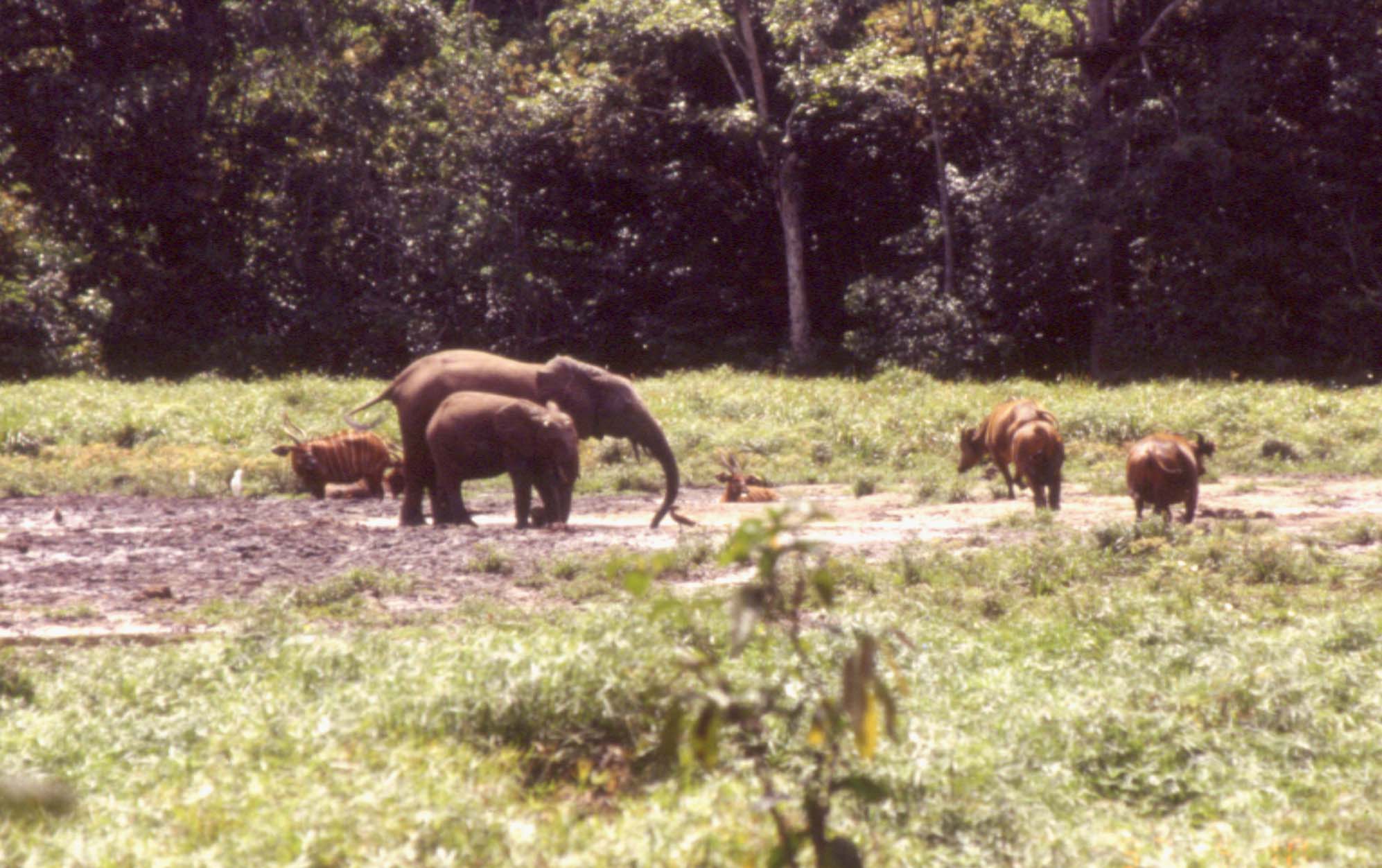 1999