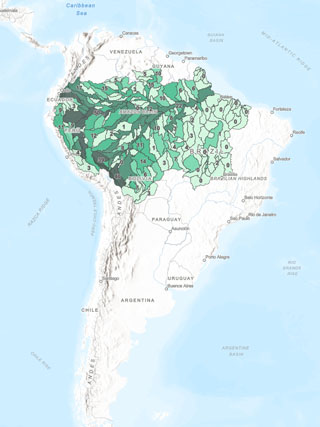 Amazon Waters