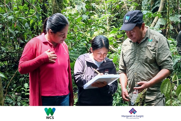 WCS fortalece iniciativas productivas y de conservación en comunidades ...