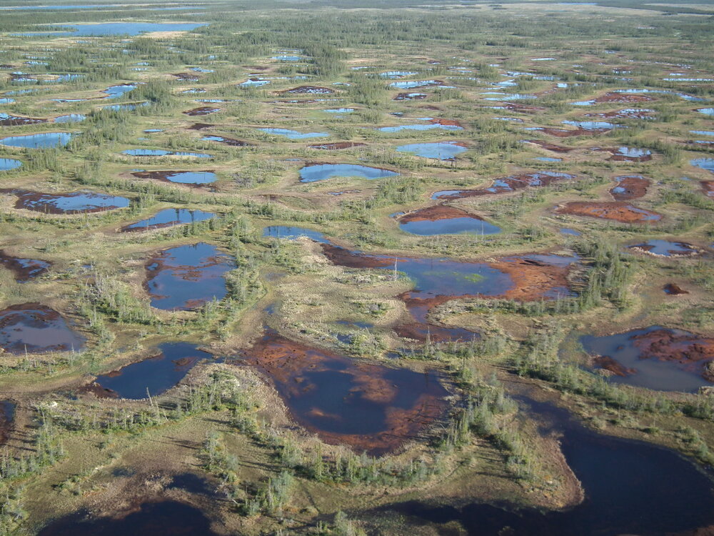 How climate change is impacting the Hudson Bay Lowlands — Canada's