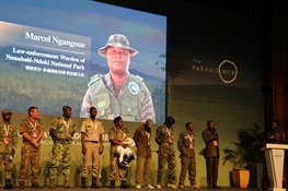 Three WCS Rangers Win “African Ranger Award” 