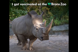 New Incentive to Get Vaccinated: Bronx Zoo Offers Free Admission Ticket for Future Visit as Incentive To Get COVID-19 Vaccine at Zoo Location