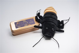 For Valentine’s Day: The Original ‘Name-a-Roach’ Returns for 10th Year