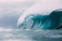Bloomberg Philanthropies Intensifies Efforts to Protect the World’s Ocean