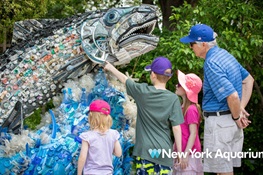 New York Aquarium Unveils Powerful ‘Washed Ashore’ Experience  To Raise Awareness About Ocean Plastic Pollution
