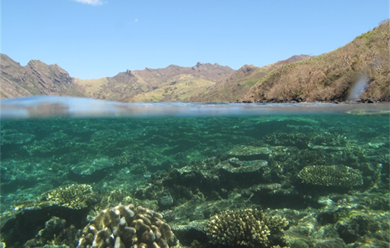 Scientists in Fiji are examining how forest conservation also benefits coral reefs and fish populations. CREDIT: Stacy Jupiter/WCS