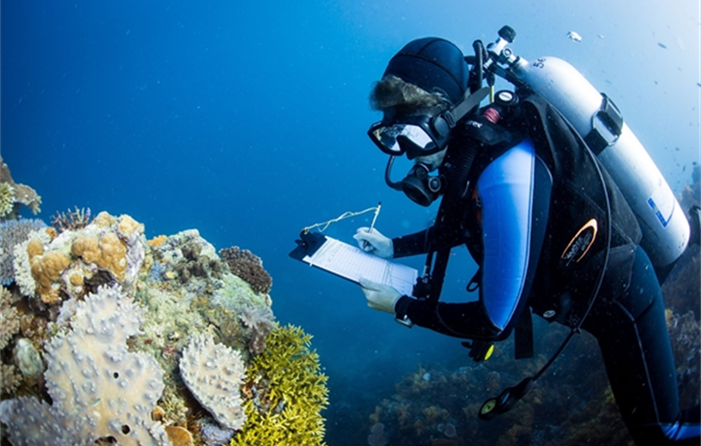 A marine scientist gathering data on coral reefs in the waters of Fiji. CREDIT: E. Darling/WCS.