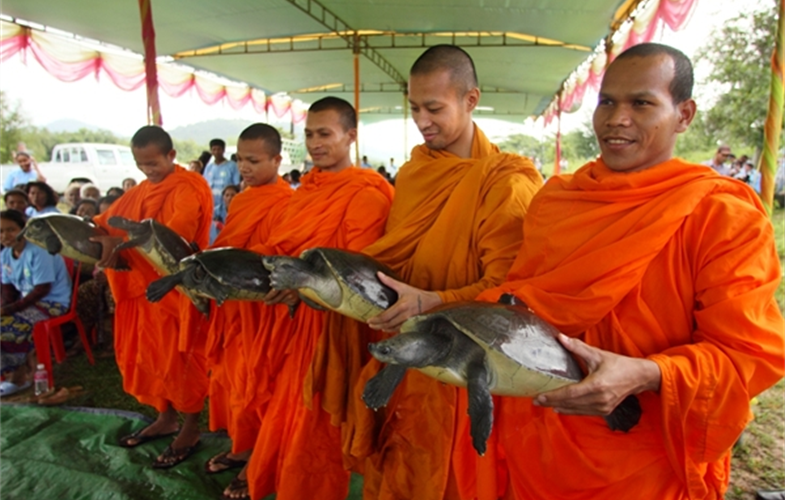 Monk with souther river terrapins during release ceremony cr: Allan Michaud