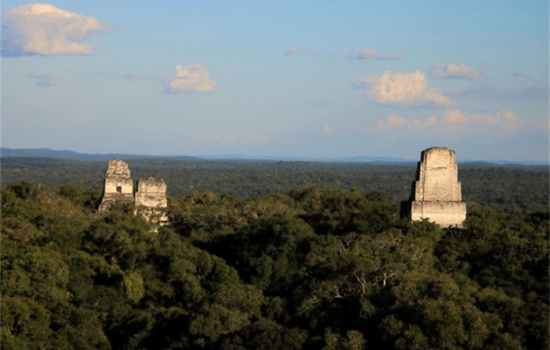 Tikal National Park and UNESCO World Heritage Site, part of the Selva Maya of Guatemala, Belize, and Mexico. Photo Credit: Mariana Diaz/WCS