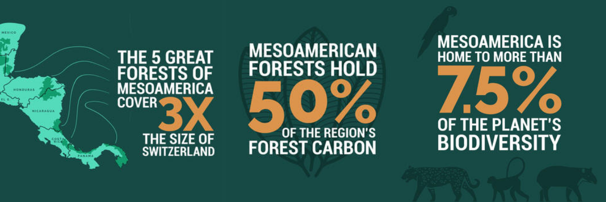 mesoamerica-forests-facts